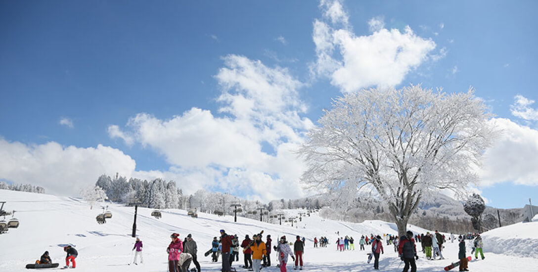 Nozawa Onsen Snow Resort